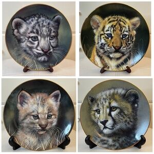 4 Vintage Princeton Gallery Cubs of the Big Cats 8in Collectible Plates